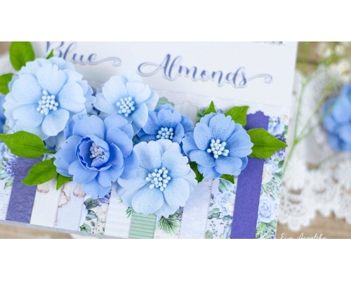 Kwiaty blue almond